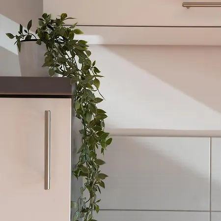 Apartmán Nikolina *